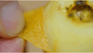 1643002855.gif