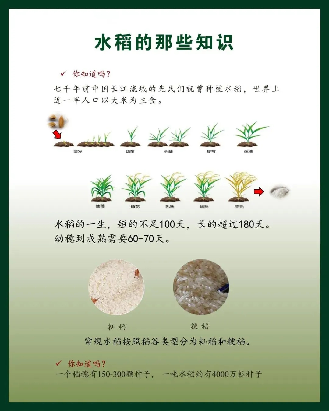 32f11ed89188bd047ecadee7746b1c9.jpg